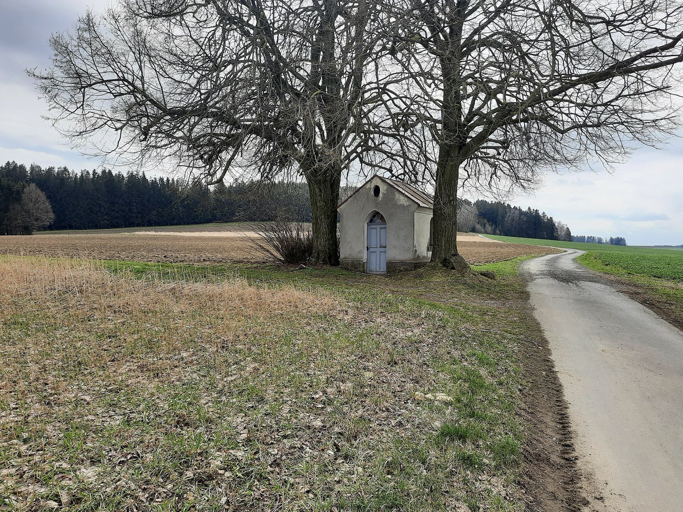 Am Rand des Veldensteiner Forstes